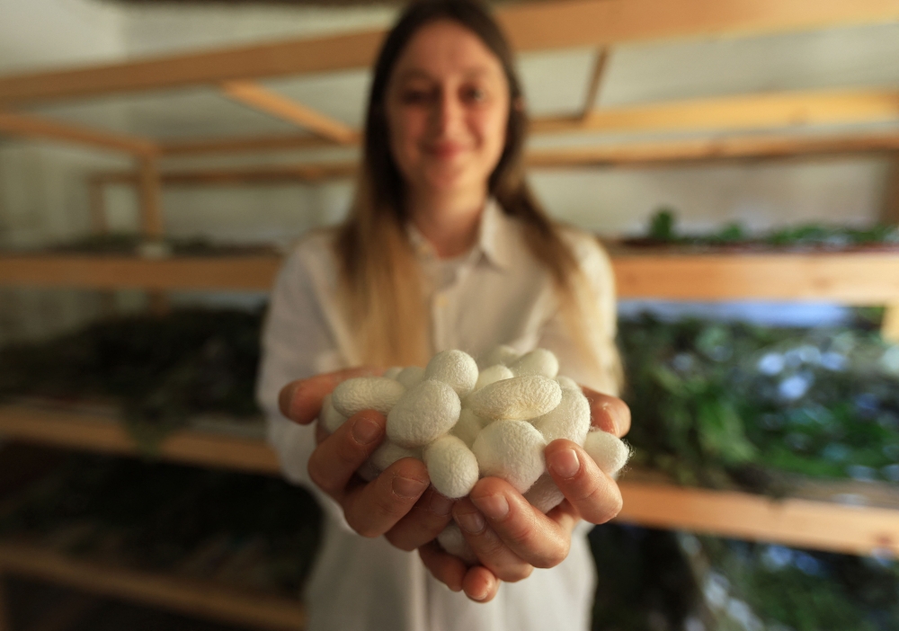 Franceska Pjetraj presents silk cocoons by silkworms in the village of Dajc, in the Zadrima region, on May 27, 2025. (Photo by Adnan Beci / AFP)