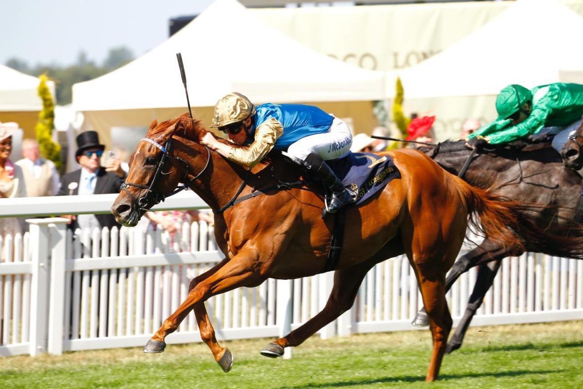 Jockey James McDonald guides Crimson Advocate to victory.