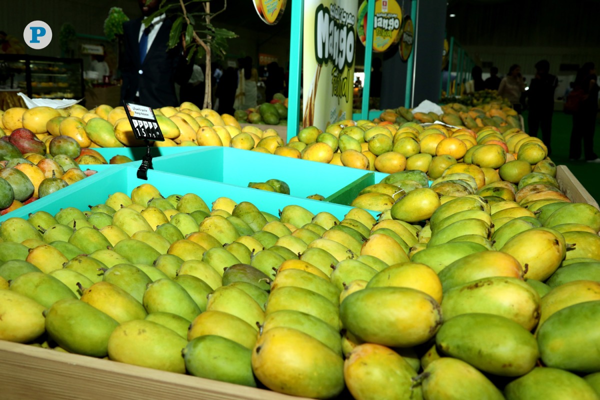 File photo of mangoes from the previous edition at Souq Waqif.