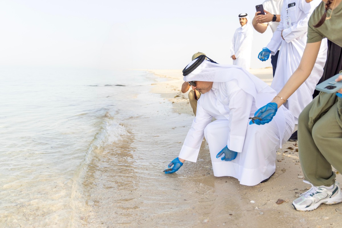 Minister of Environment and Climate Change H E Dr. Abdullah bin Abdulaziz bin Turki Al Subaie releasing hawksbill turtle hatchlings at Fuwairit Beach yesterday.