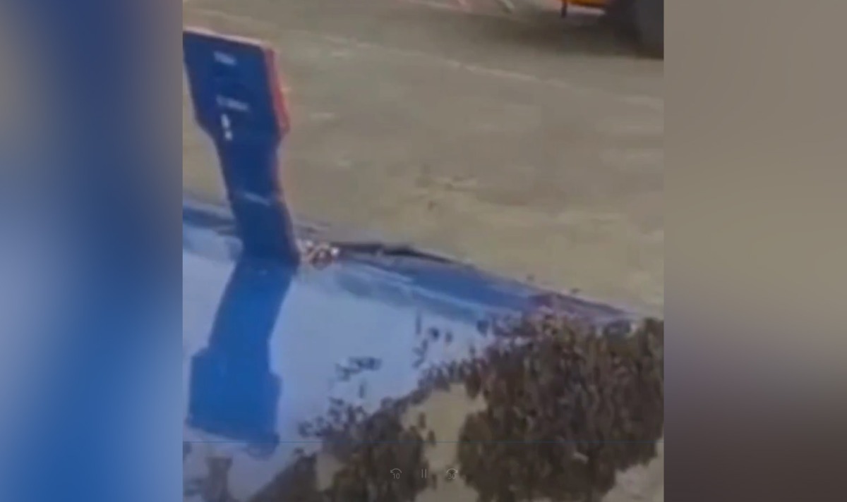 Screengrab from circulating social media posts