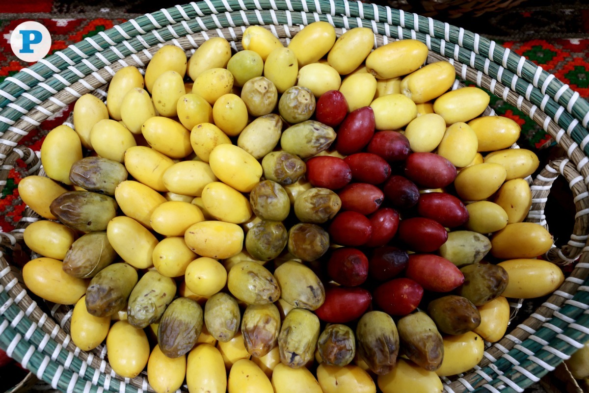 Pic by Rajan Vadakkemuriyil / The Peninsula