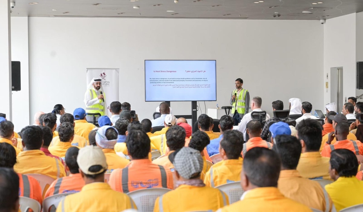 MoL officials and participants during the workshop.