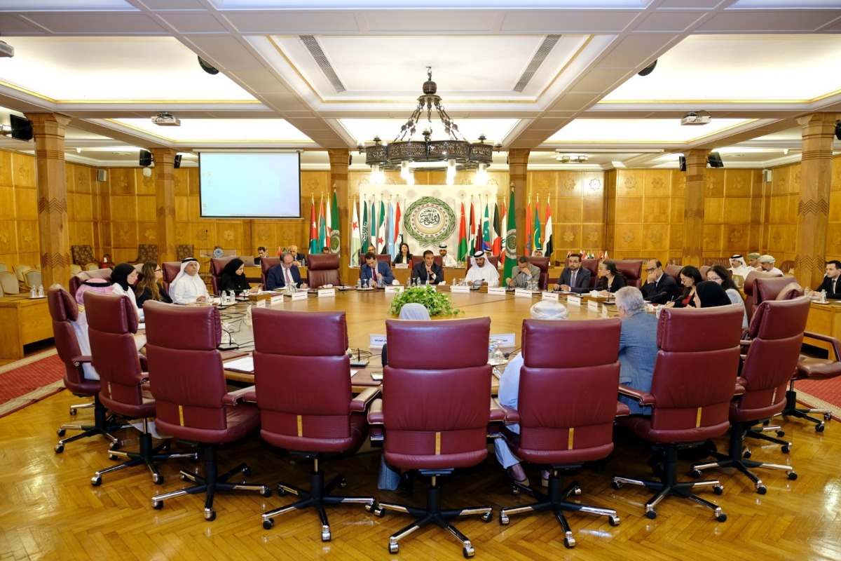 Participants during the meeting in Cairo.