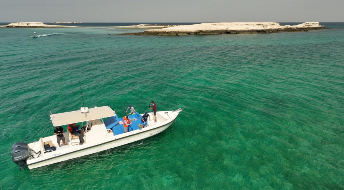 File photo used for representational purposes