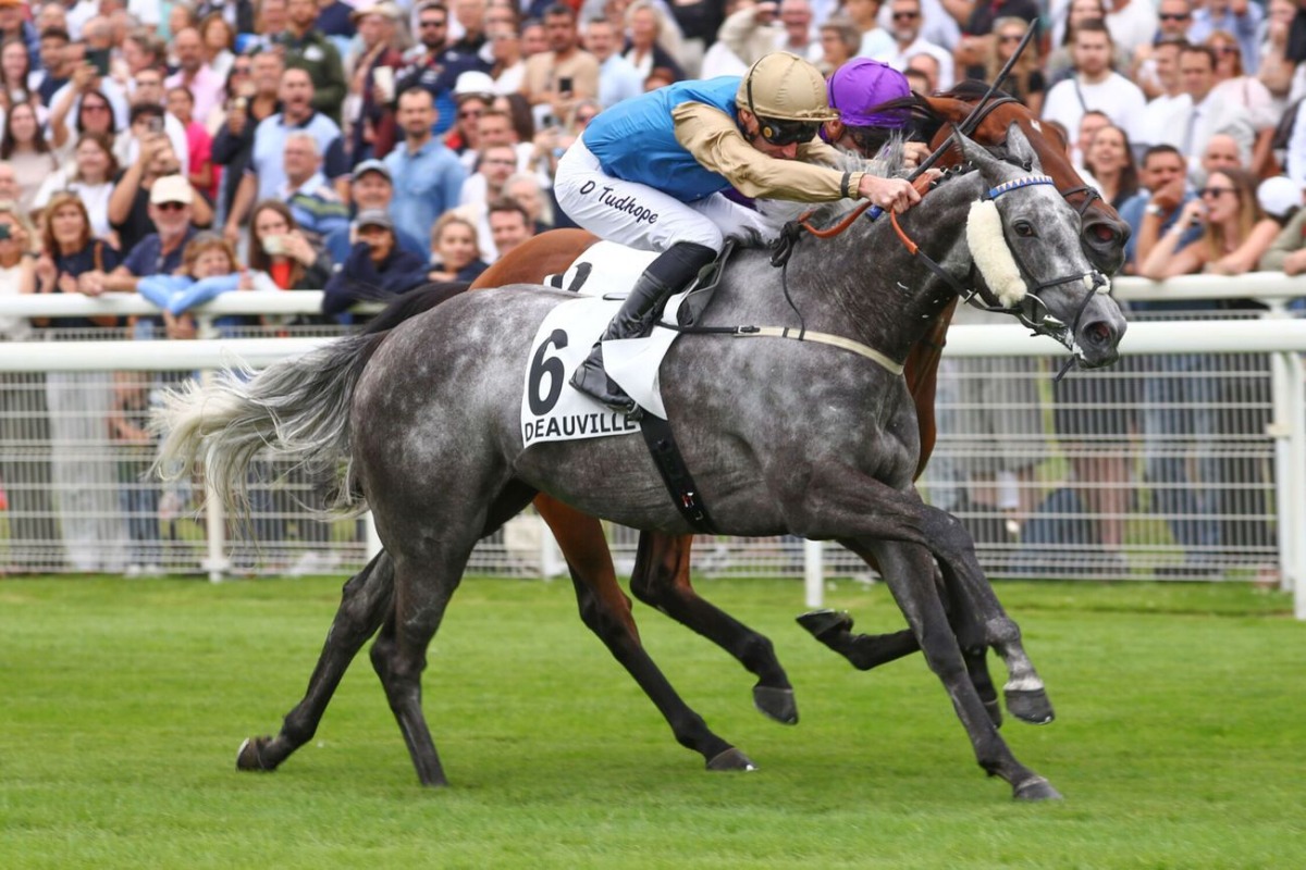 Daniel Tudhope rides Fallen Angel to victory yesterday.  