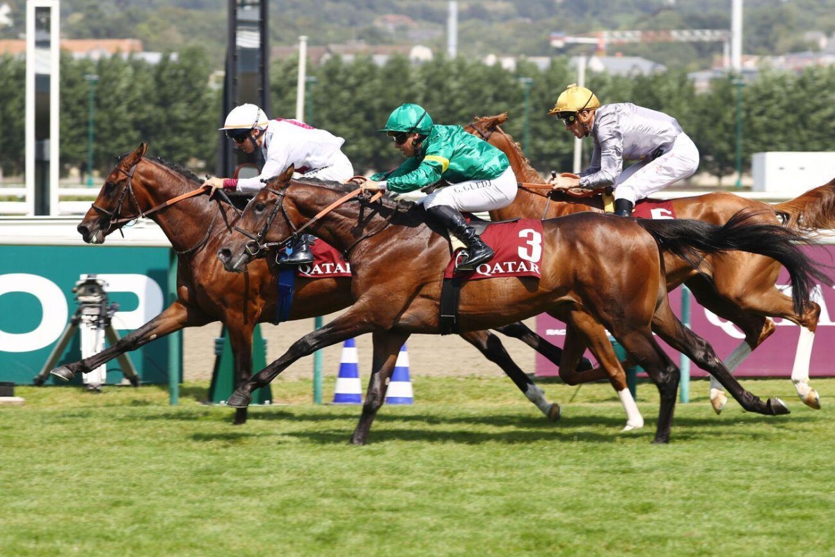 Laffan (in front) with Maxime Guyon aboard charges towards the finish.