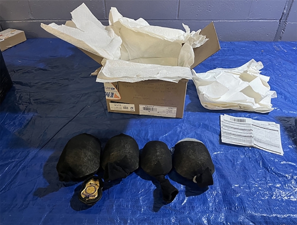 This undated handout image released by District Court for the Western District of New York from the United States Fish and Wildlife Service (NSFWS) shows eastern box turtles intercepted during a border inspection. (Photo by USFWS / AFP)