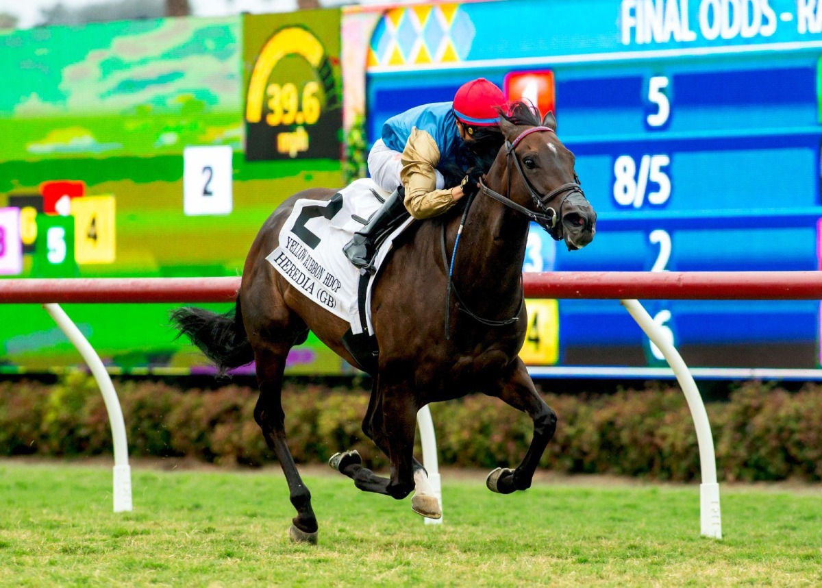 Jockey Juan J. Hernandez guides Wathnan Racing's Heredia to victory.