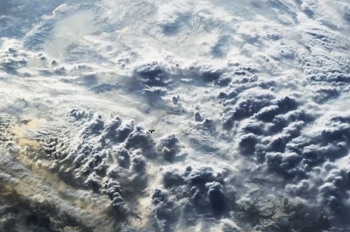 Image from social media