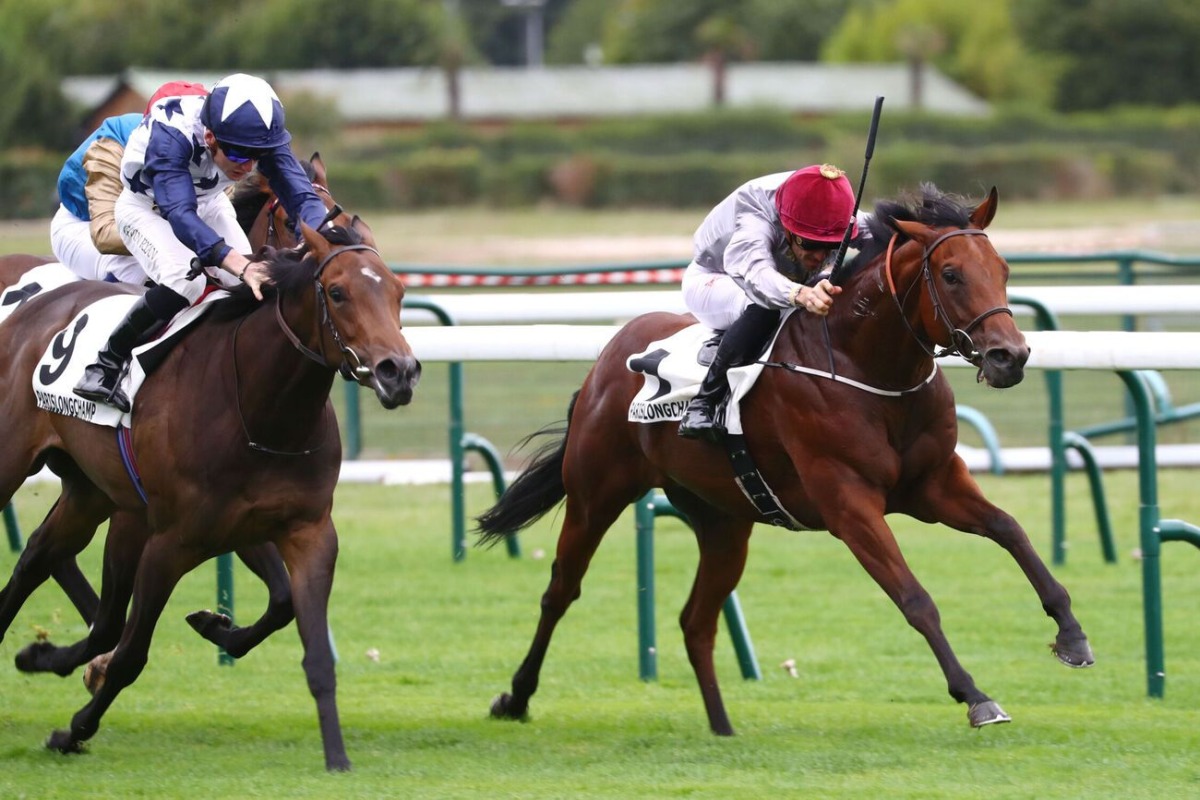 Al Shaqab Racing's Afjan, with Christophe Soumillon in the saddle, competes during the race at ParisLongchamp yesterday. 