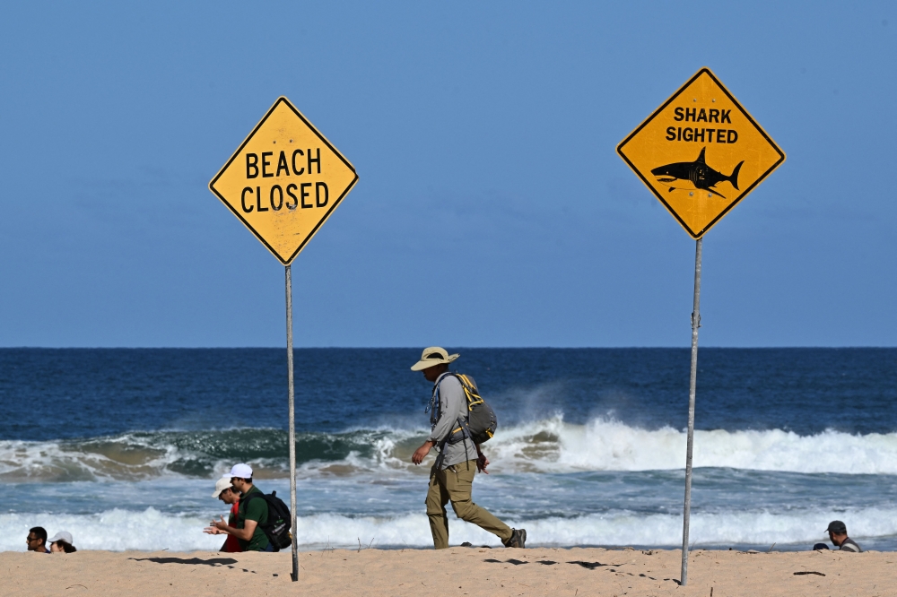 Residents walks along the shoreline as northern Sydney beaches are closed following a suspected shark attack at Long Reef Beach on September 6, 2025. (Photo by Saeed Khan / AFP)