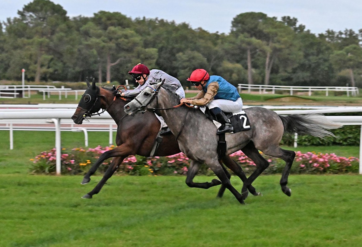 Al Wakrah and jockey Olivier d’Andigné on their way to win. PIC: Robert Polin