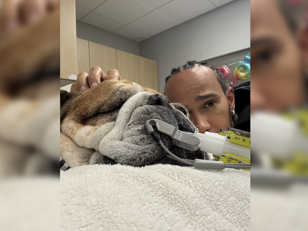 Pic from Lewis Hamilton's official X account