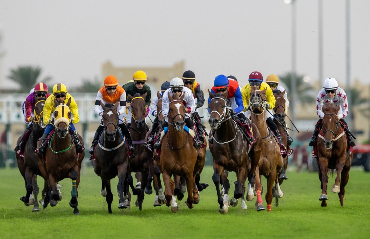 Today’s opening card for includes eight races, starting at 4:30pm, with the main event the Al Gharaiyah Cup race, the eighth race, scheduled for 8:30pm.
