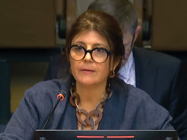 Director of the United Nations Research Institute for Social Development (UNRISD), Magdalena Sepúlveda