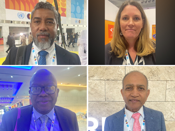 Clockwise from top left: Rui Pacheco, Lauren Graham, Professor Manohar Pawar and Norman Mulela