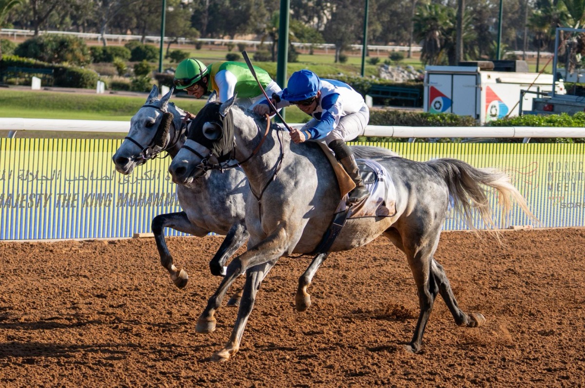 Guillaume Guedj-Gay guides Moshrif to triumph. 