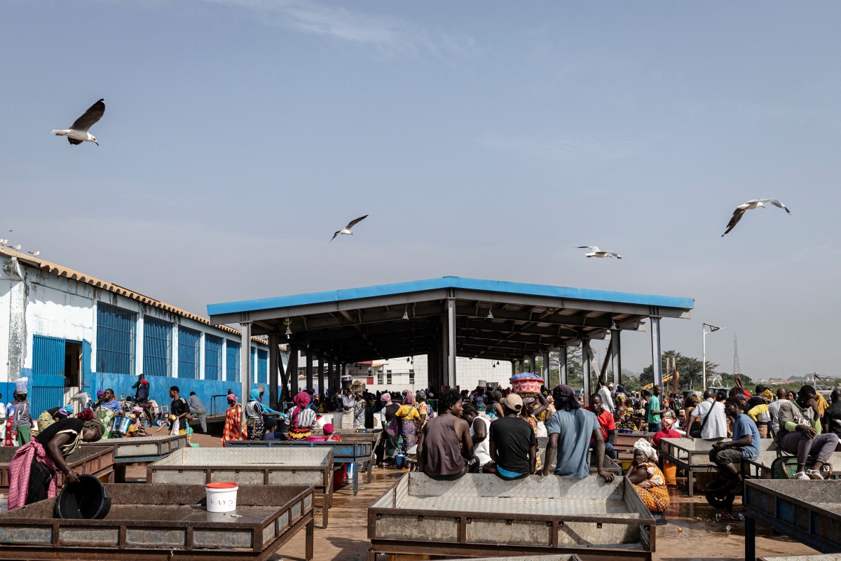 Seagulls fly over a fish market in Bissau, on November 26, 2025. (Photo by PATRICK MEINHARDT / AFP)
