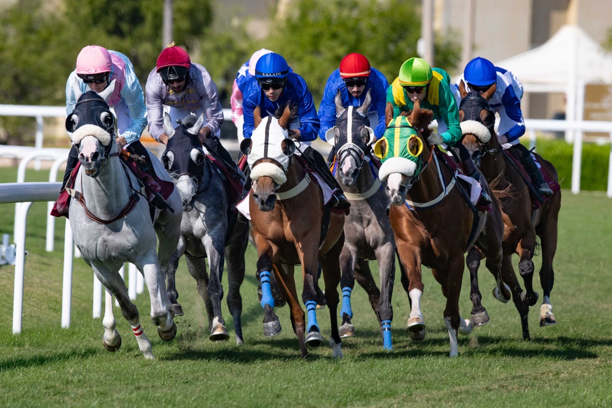 Action during last year's Qatar National Day Trophy and the Late Sheikh Jassim Bin Mohammed Bin Thani Trophy race meeting. PIC: JUHAIM/QREC 