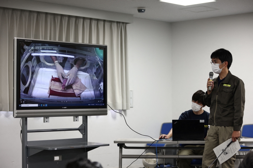 (File) Ueno Zoological Gardens staff Naoya Ohashi (R) shows an image of the first of two newly-born twin cubs delivered by giant panda Shin Shin at Tokyo's Ueno Zoo on June 23, 2021. (Photo by Behrouz Mehri / AFP)