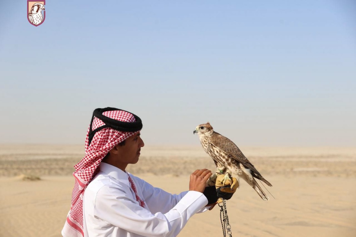 A falconer with his falcon.