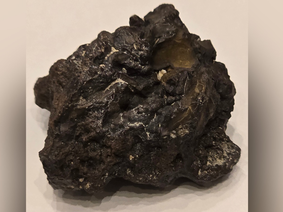 A photo of the second meteorite found in Al Khor. Photo credit: Salman Jabor Althani on X