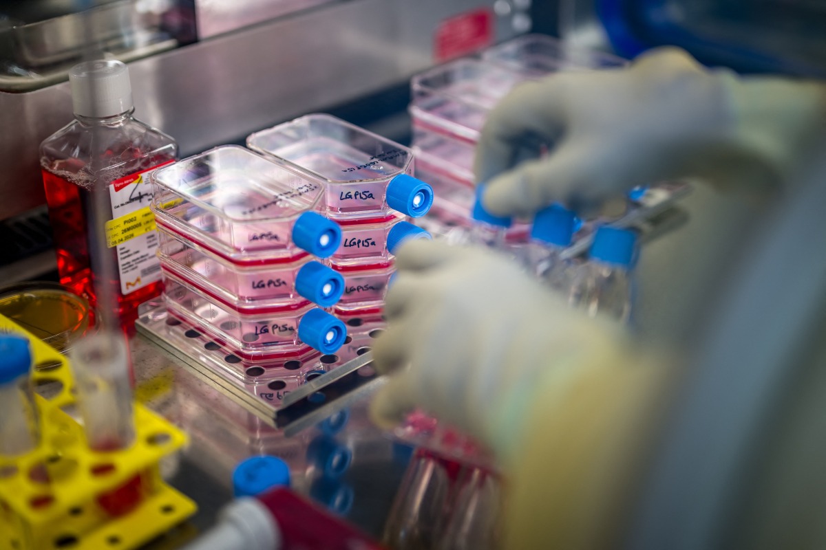 A biomedical analysts works at the cell production centre of the Lausanne University Hospital (CHUV) in Epalinges above Lausanne, on January 13, 2026. Photo by Fabrice COFFRINI / AFP