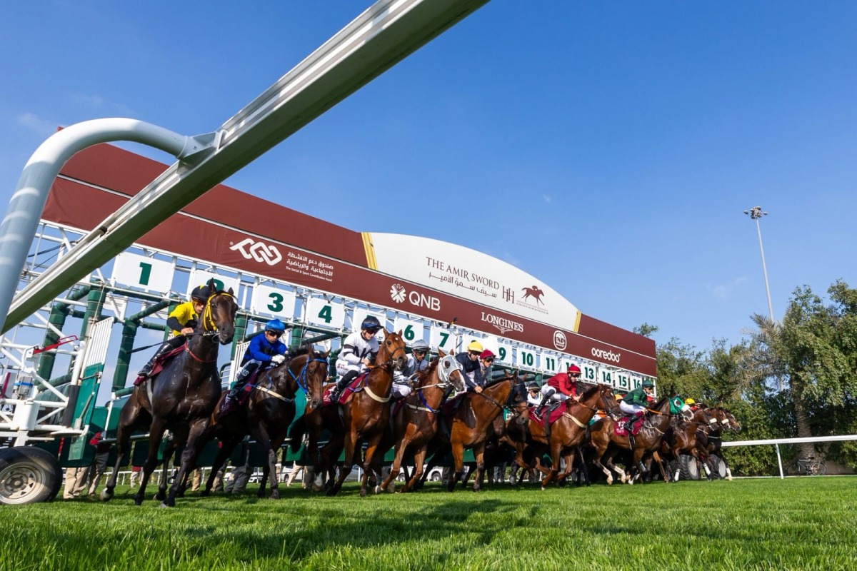 The Festival features a total of 32 races across the four days at  Al Rayyan Racecourse.
