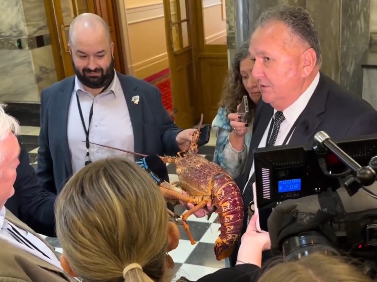 Screen grab of a video shared by the Minister on X