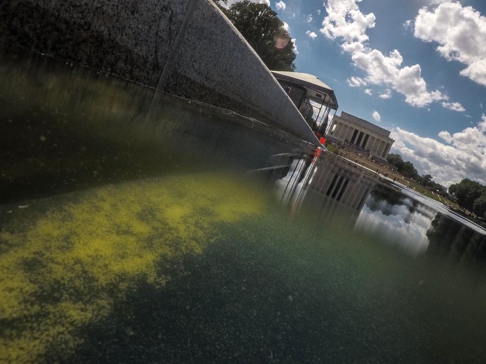 Seen through algae-laden green water, a tear in the recently applied sealant can be seen on the bottom of the Lincoln Memorial Reflecting Pool on June 18, 2026 in Washington, DC. (Photo by Oliver Contreras / AFP)