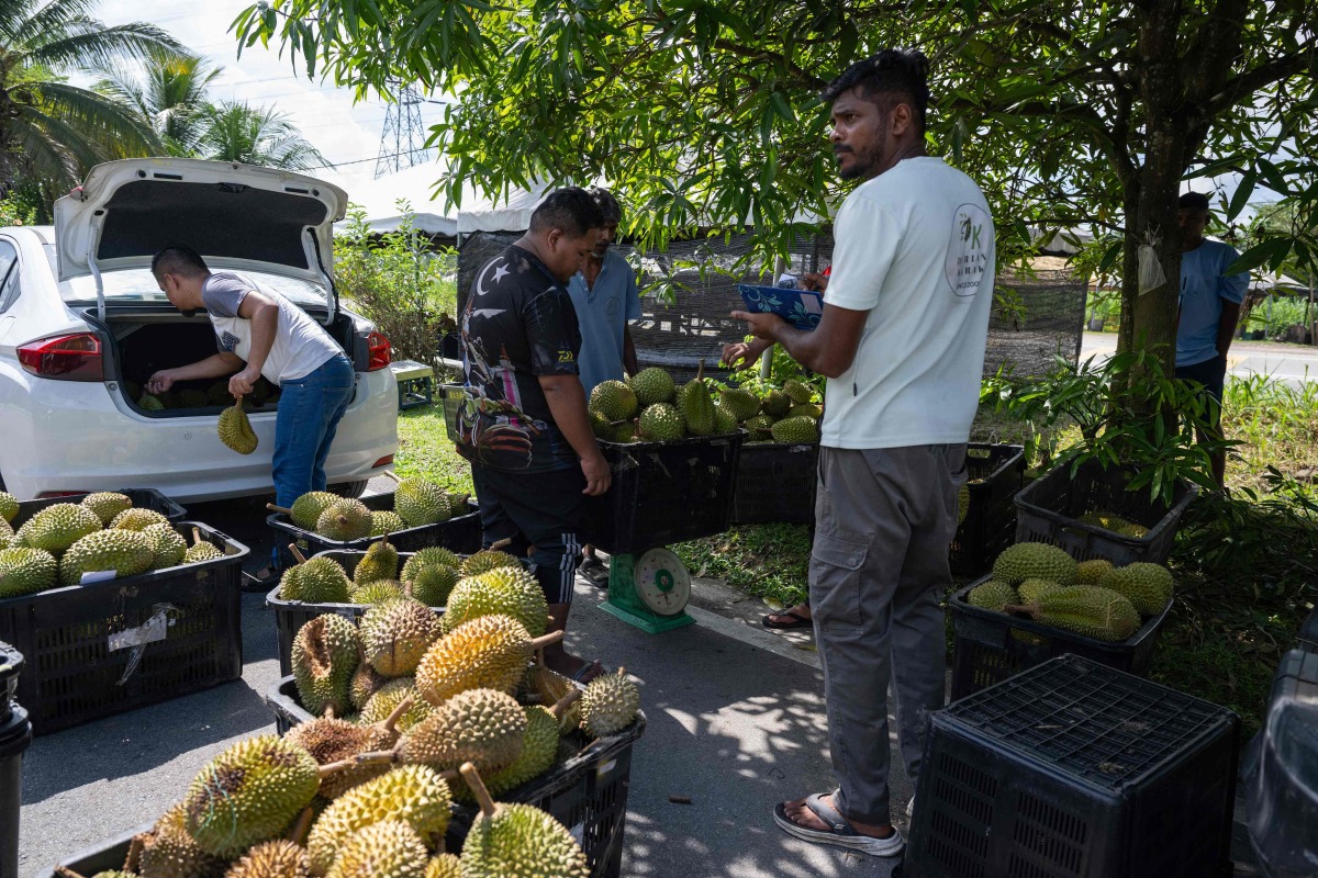 This picture, taken on June 23, 2026, shows a vendor selling durians by the roadside in Karak, in Malaysia's Pahang state. (Photo by Mohd Rasfan / AFP)