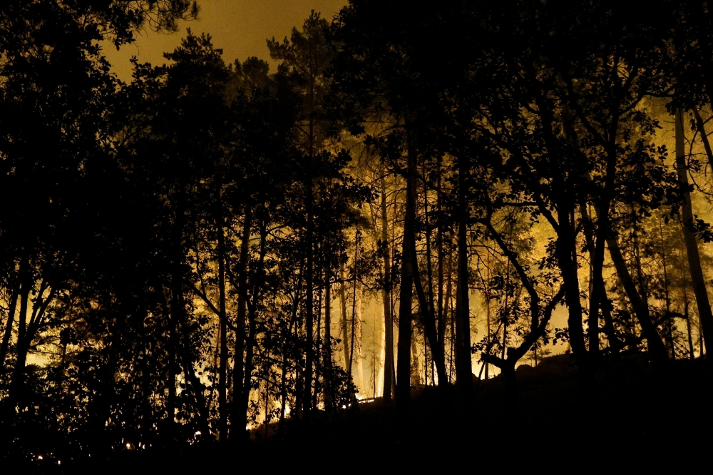 Flames rise in the Fontainebleau Forest after a forestfire broke out late afternoon on July 12, 2026. (Photo by GEOFFROY VAN DER HASSELT / AFP)