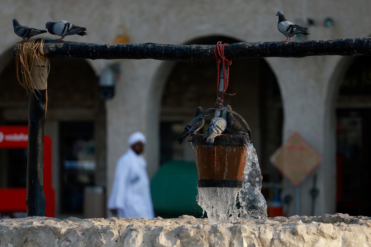 Pigeons cool off at a decorative water fountain in Doha on July 25, 2026. (Photo by KARIM JAAFAR / AFP)