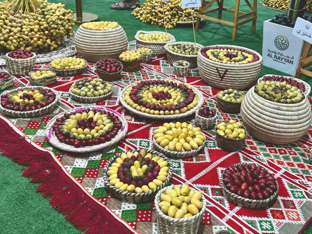 All Photos by Hana Ramadan / The Peninsula