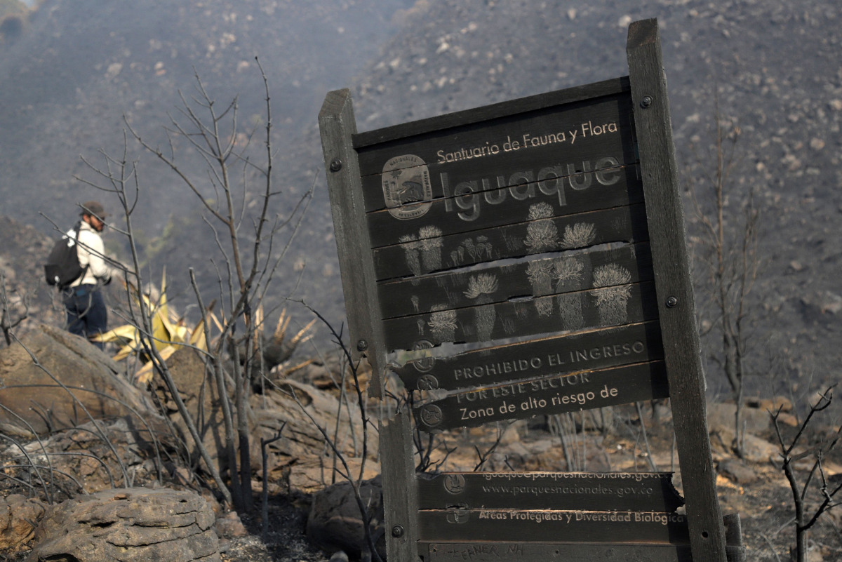 A sign for the Iguaque Fauna and Flora Sanctuary stands amid burned vegetation on San Marcos Hill following a forest fire in the municipality of Villa de Leyva, Boyaca department, Colombia, on September 20, 2026. (Photo by LUIS LIZARAZO / AFP)