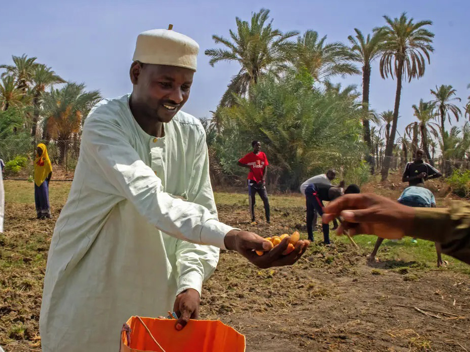 Abakar Mahamat Bodou, a farmer in Chad's Lac Province, shows off his produce. Photo: UNOCHA/Shariqa Habib.