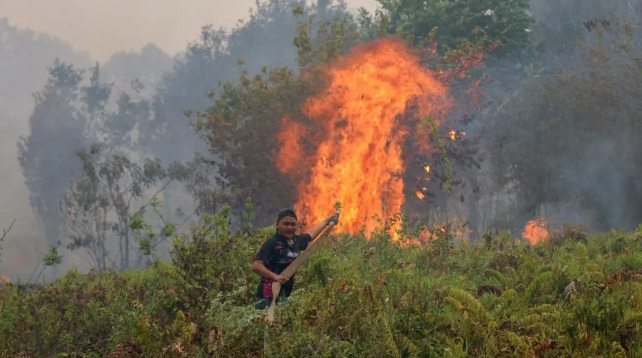 A firefighter extinguishing a fire at Sungai Tabuk village in Indonesia's Kalimantan Province on October 16 © MUDA SAGALA / AFP